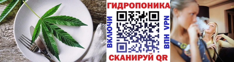 omg вход  Ряжск  Cannafood марихуана 