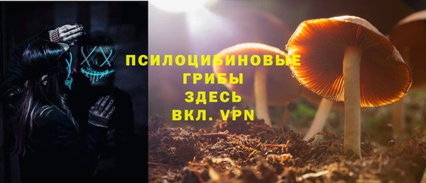 дживик Навашино