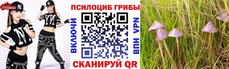 купить наркотики цена  Ряжск  Псилоцибиновые грибы MAGIC MUSHROOMS 